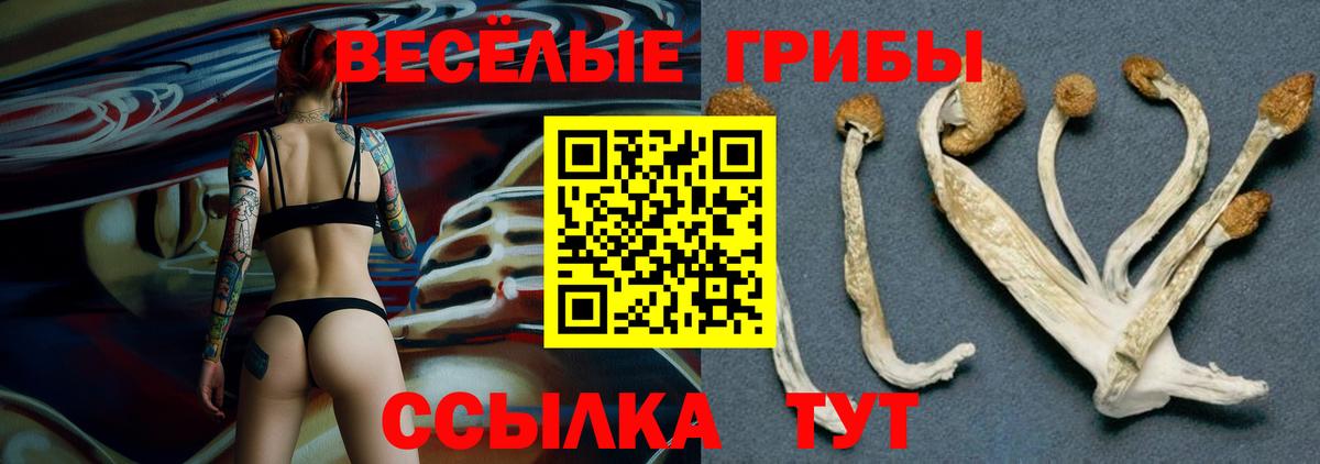 Галлюциногенные грибы Cubensis  Галлюциногенные грибы Psilocybe  Отрадный  Вход с VPN 